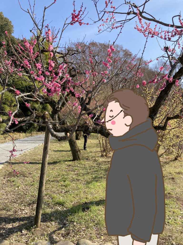 梅の花の匂いをかぐダンナ