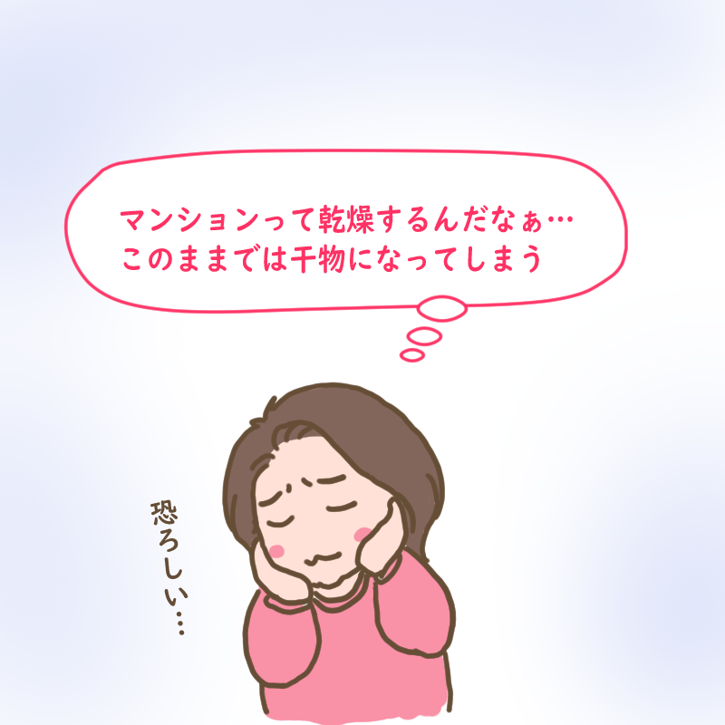 「マンションって乾燥するんだな…このままでは干物になってしまう」と悩むわたし
